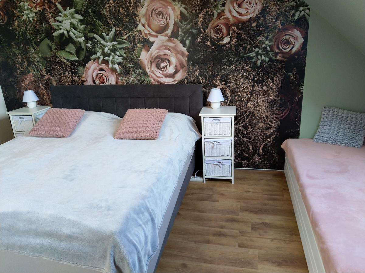 דצ'ין Apartmany Sharka -Sarka Justrova מראה חיצוני תמונה